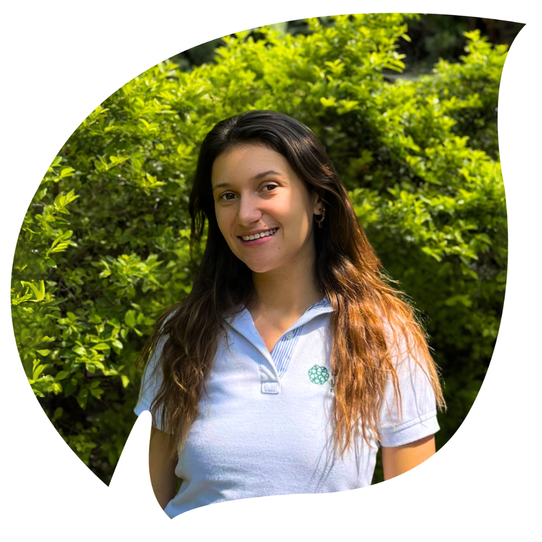 Diseño sin título (33)