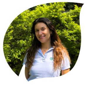 Diseño sin título (33)