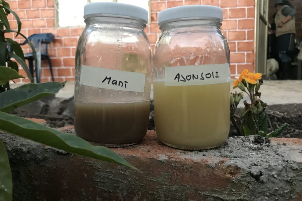 Aceites_vegetales_maní_ajonjolí-1-scaled