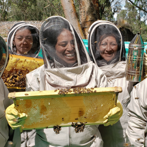 Beekeeping-500x500