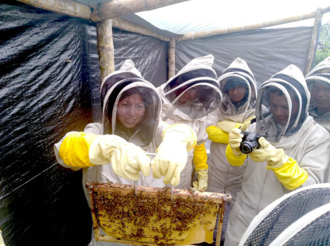 Community beehives the andes – 03