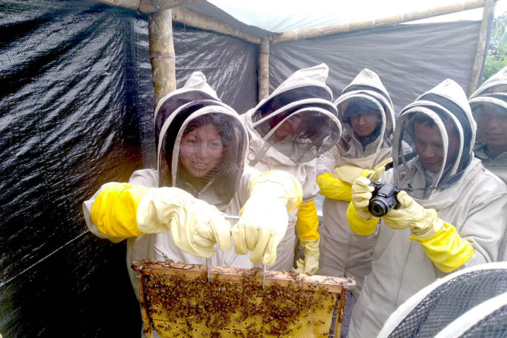 colmenas_comunitarias_los_andes-03