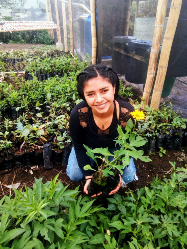 luisa_delgado_impluso_verde-767×1024