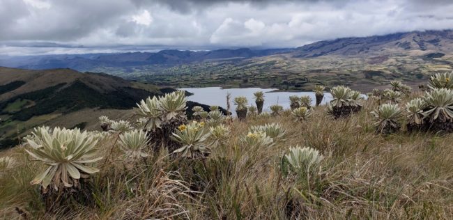 paramos-cordillera
