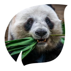 portrait_11-300×300