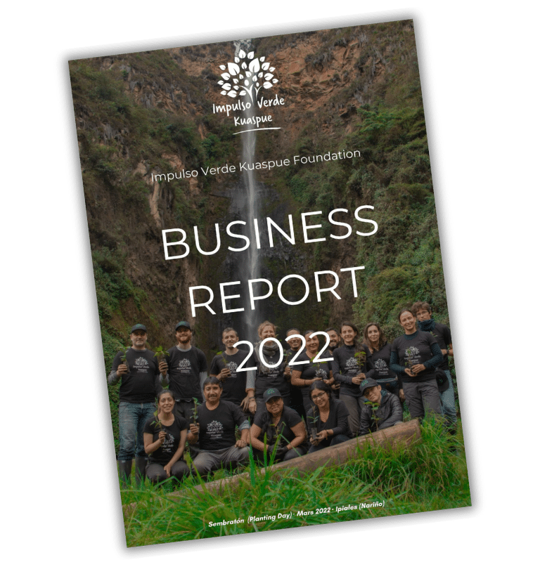 Business Report 2022 Impulso Verde