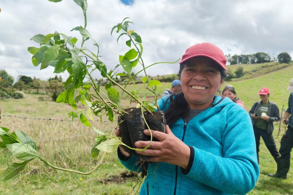 Reforestacion_en_colombia_nariño2024-06-22 at 12.00.16 Siembra-Impulso- Verde