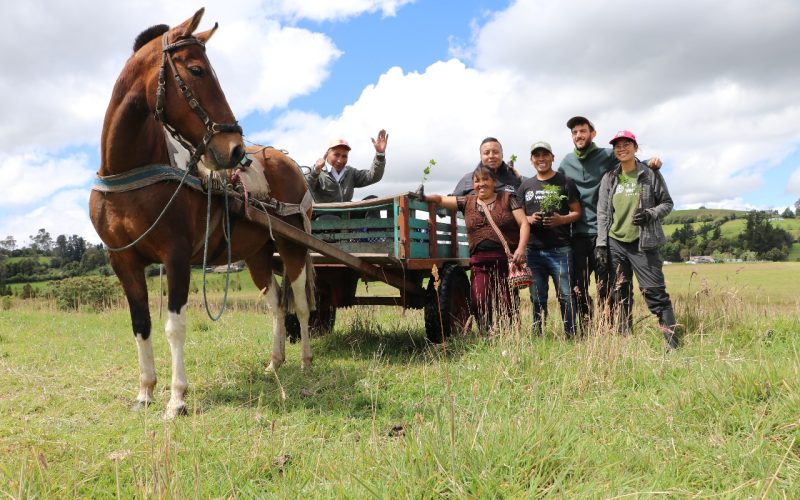Reforestacion_en_colombia_nariño2024-06-22 at 19.04.19 (2) Reforestacion_en_colombia_nariño2024-06-22 at 19.04.19 (2)