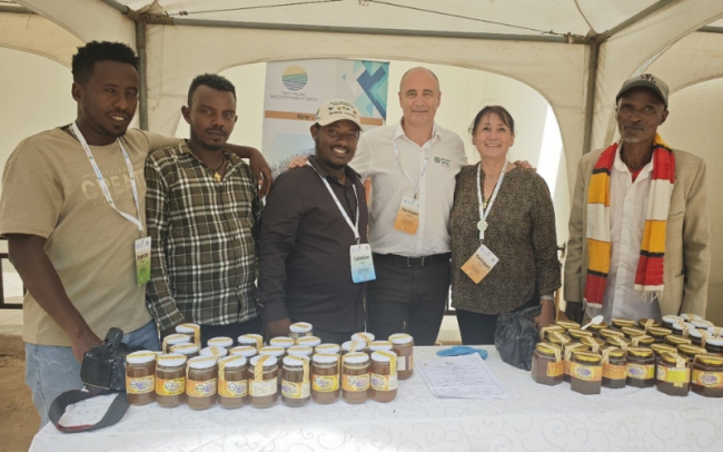 Diseño sin título (8)