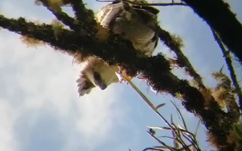 Diseño sin título (14) Diseño sin título (14)