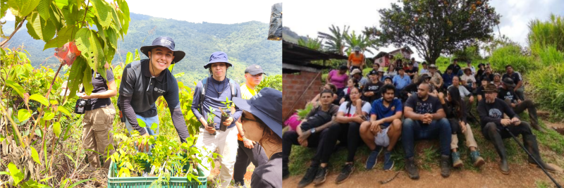 Diseño sin título (15) Diseño sin título (15)