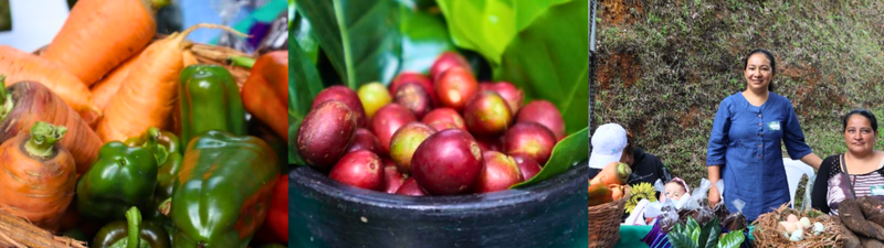 Diseño sin título (16) Diseño sin título (16)