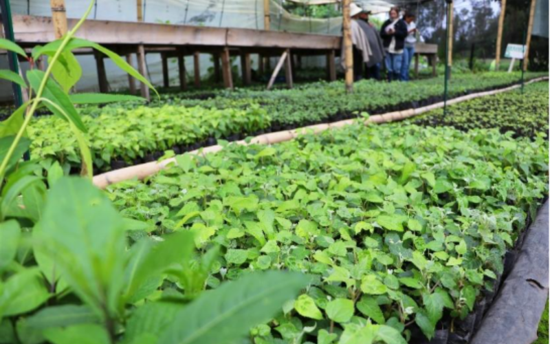 Formato fotos para Boletines (1)