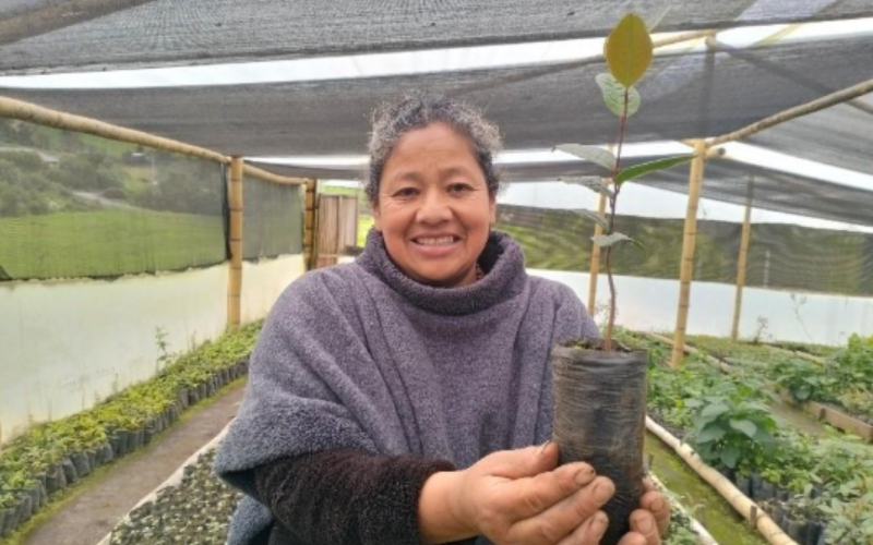 Formato fotos para Boletines (2)