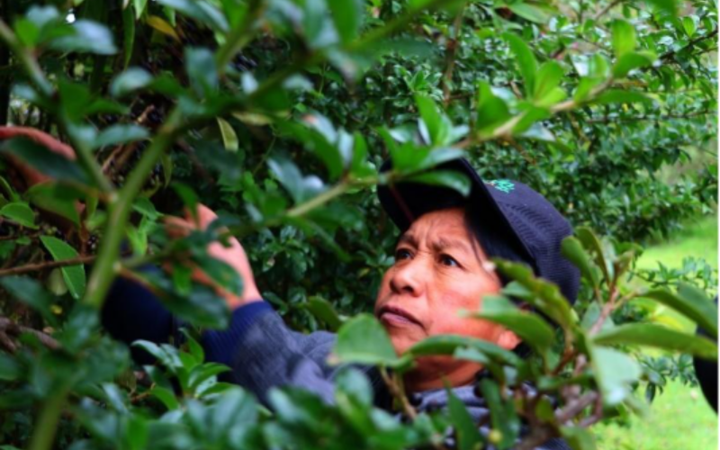 Formato fotos para Boletines (3)