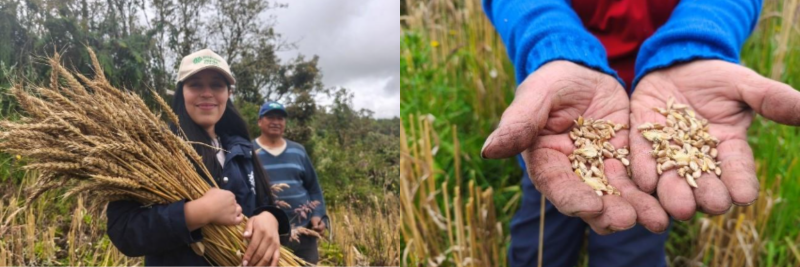 Formato fotos para Boletines (4)