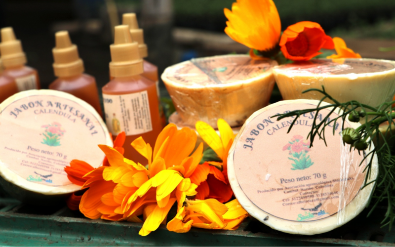 Formato fotos para Boletines (7)