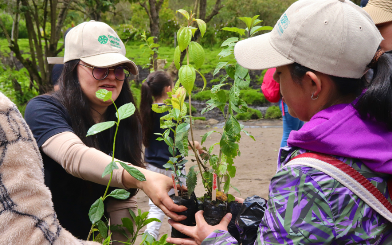 Formato fotos para Boletines (12)