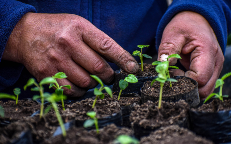 Formato fotos para Boletines (13)