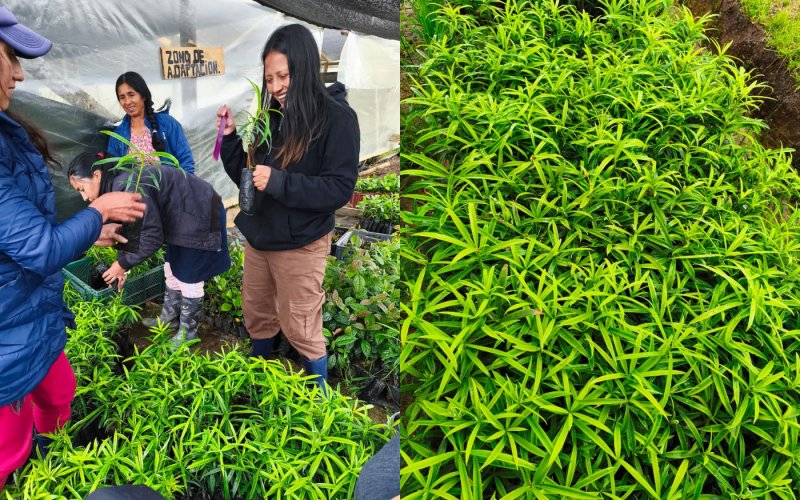 Formato fotos para Boletines (14)