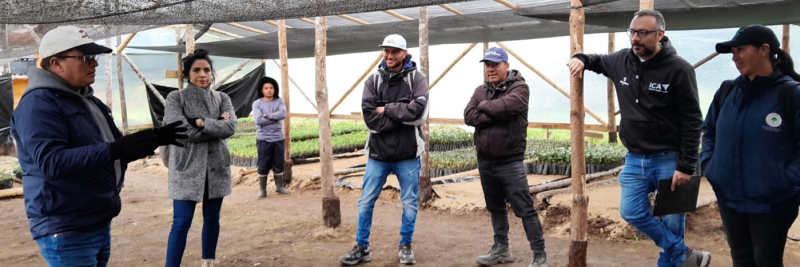 Formato fotos para Boletines (15)