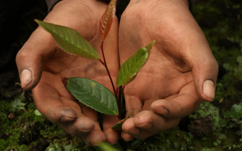 Formato fotos para Boletines (16)