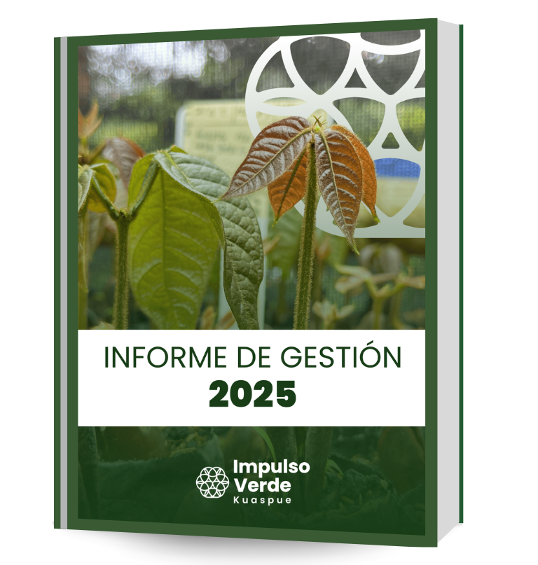 Rapport activities (10)