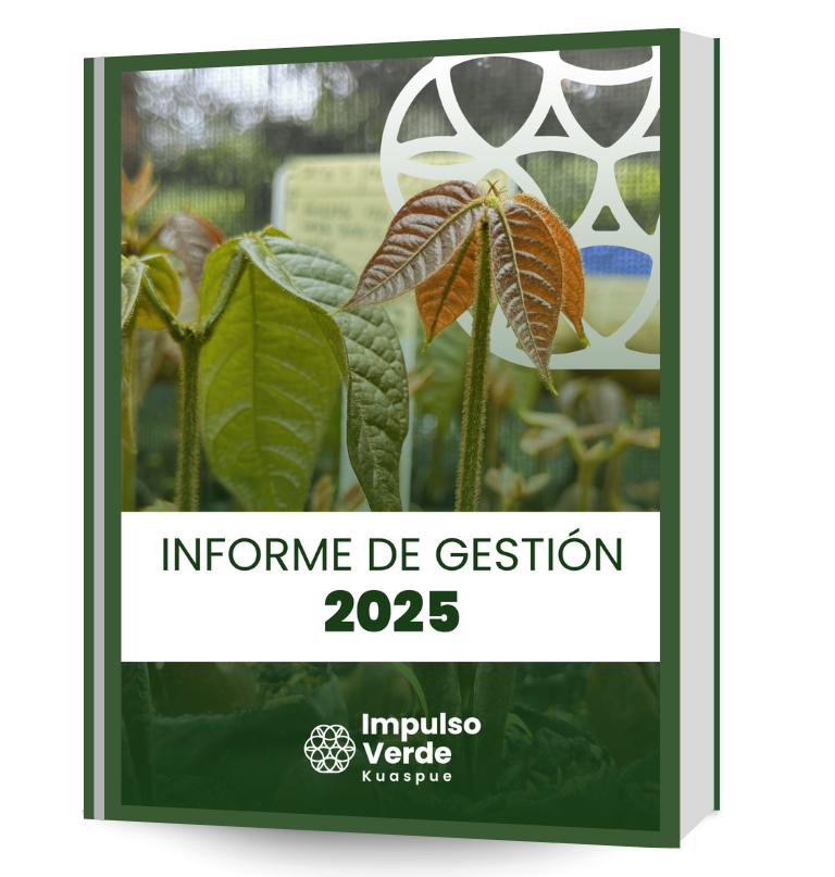 Rapport activities (11)