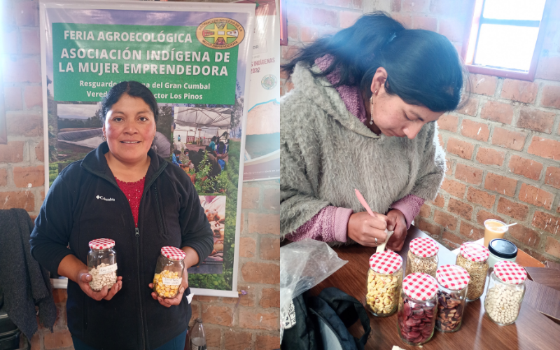 Formato fotos para Boletines (45)
